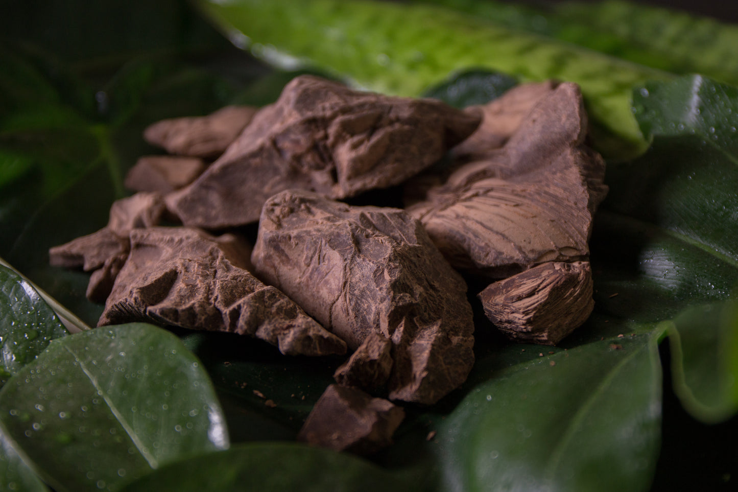 Awakening Cacao